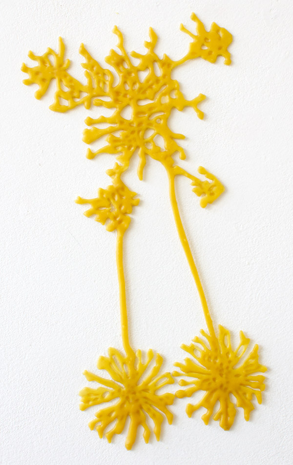 ANDRÉA WOLFENSBERGER | Growing Mycelia, 18 x 10 inches / 45 x 25 cm, paper, bees wax, 2021