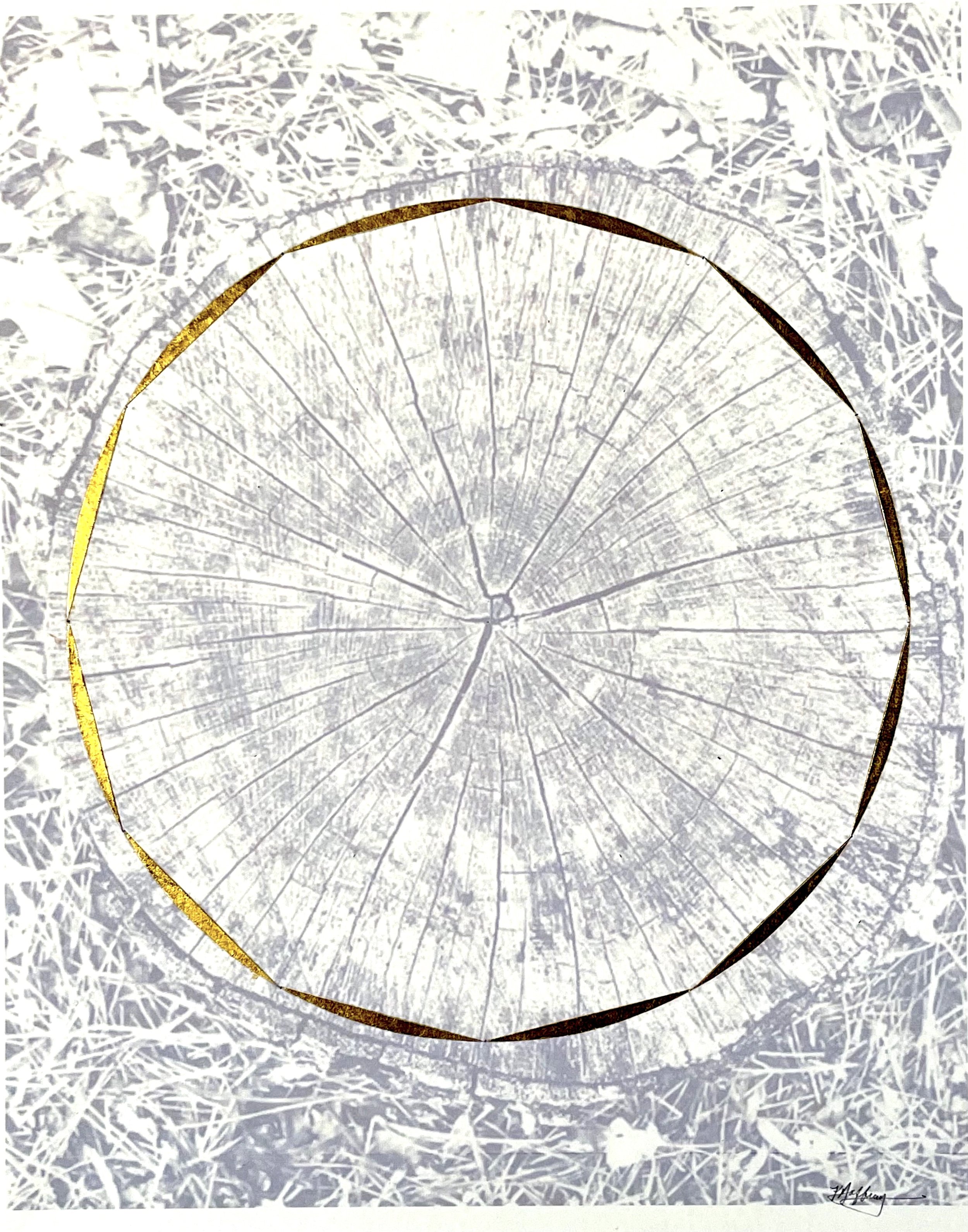 NATURE'S MANDALA #4 | 11 x 14 inches / 27.9 x 35.6 cm, photograph printed on Fabriano paper, gold leaf, 2022