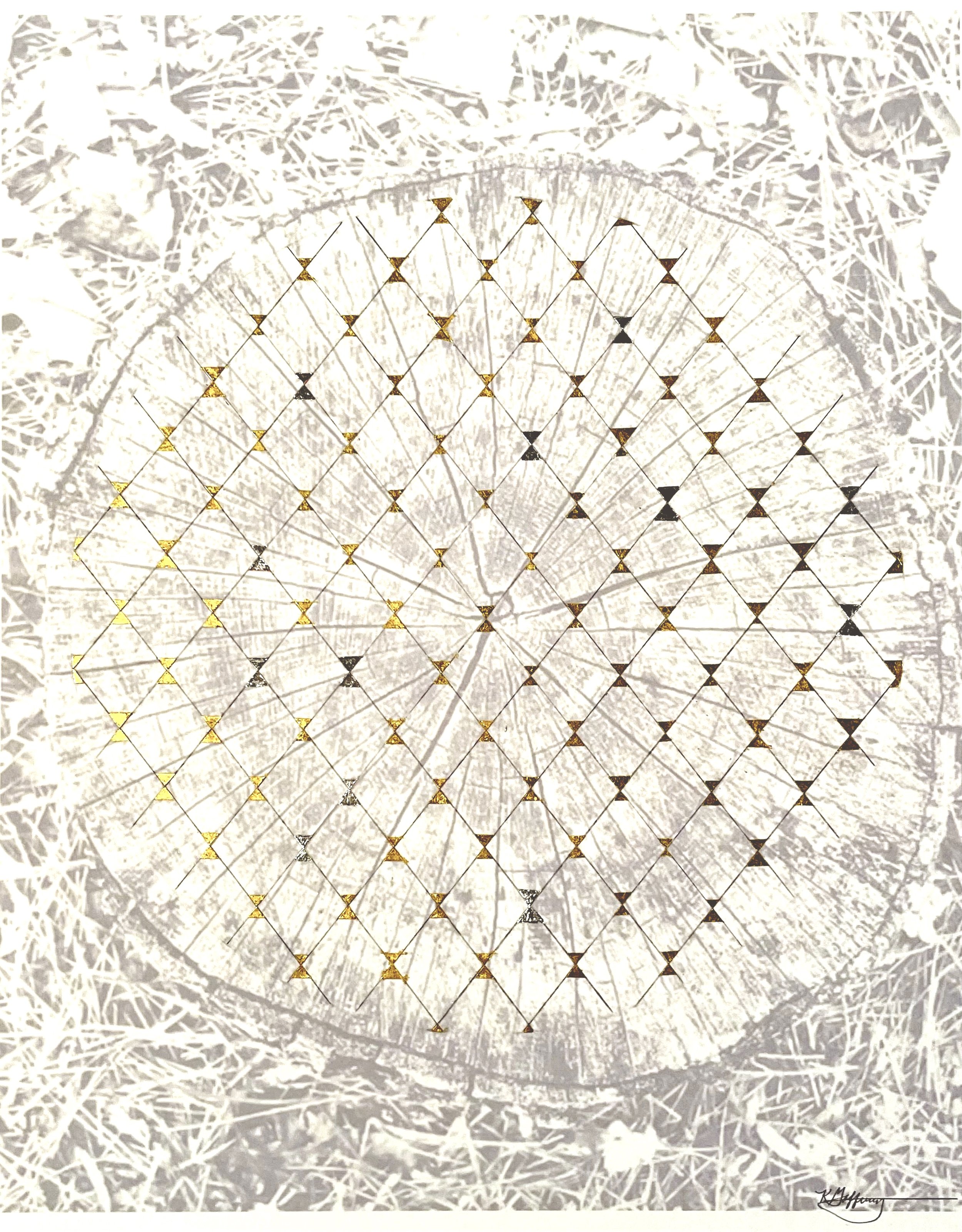 NATURE'S MANDALA #6 | 11 x 14 inches / 27.9 x 35.6 cm, photograph printed on Fabriano paper, graphite, gold leaf, silver leaf, 2022