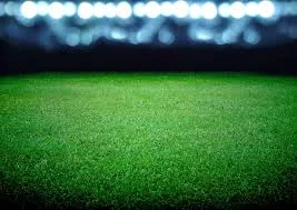 football field3.jpg