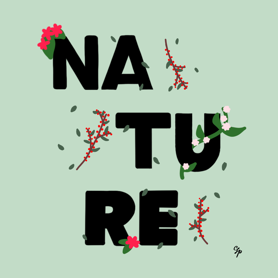 Untitled_Artwork 24.png