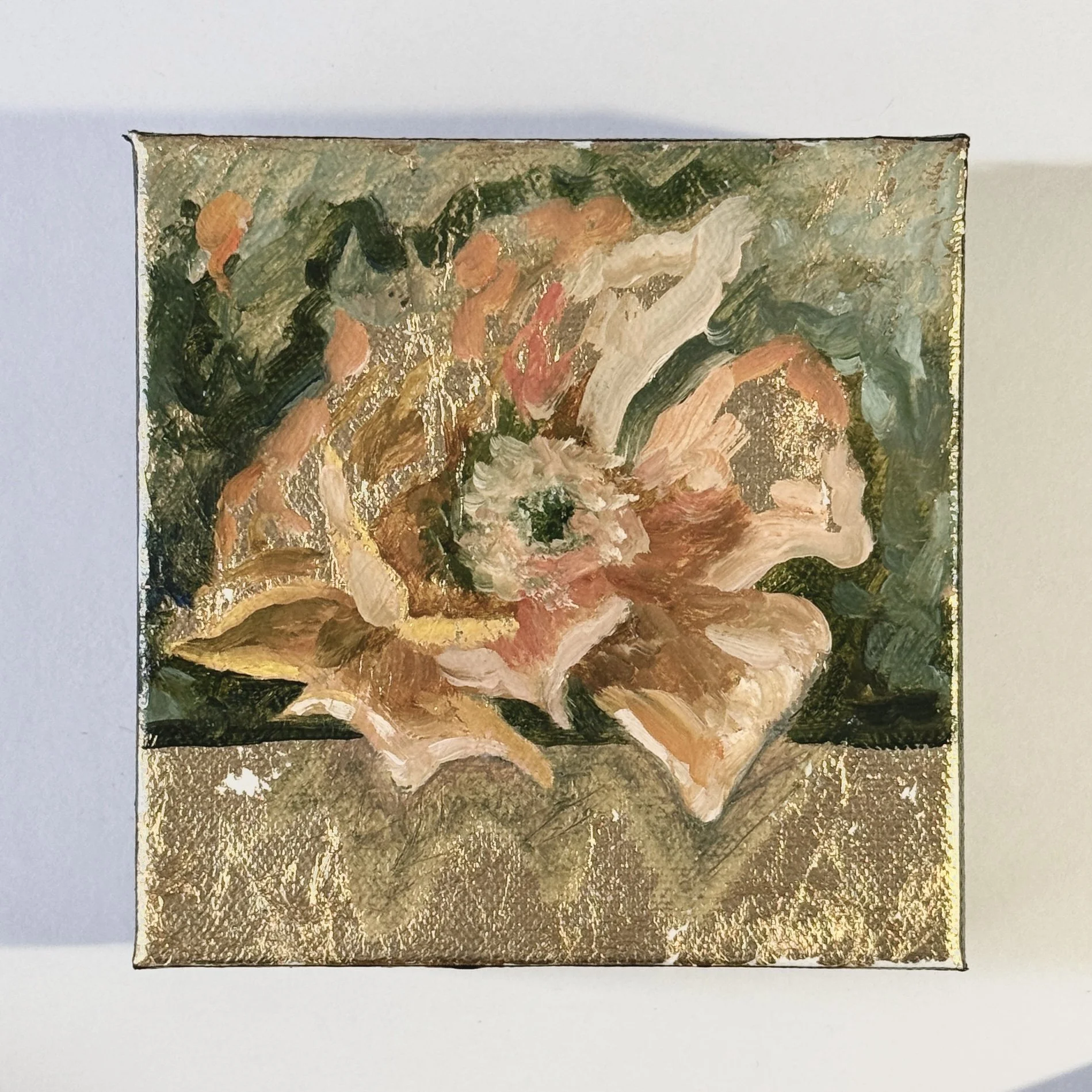 Orange Cactus Blossom