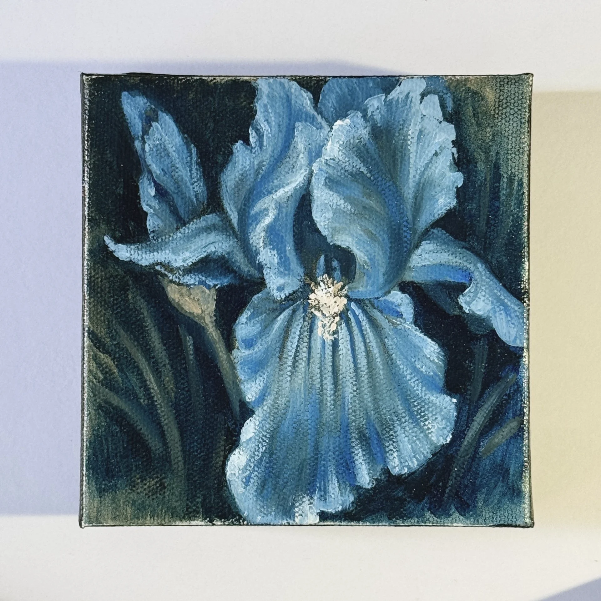 Blue Iris