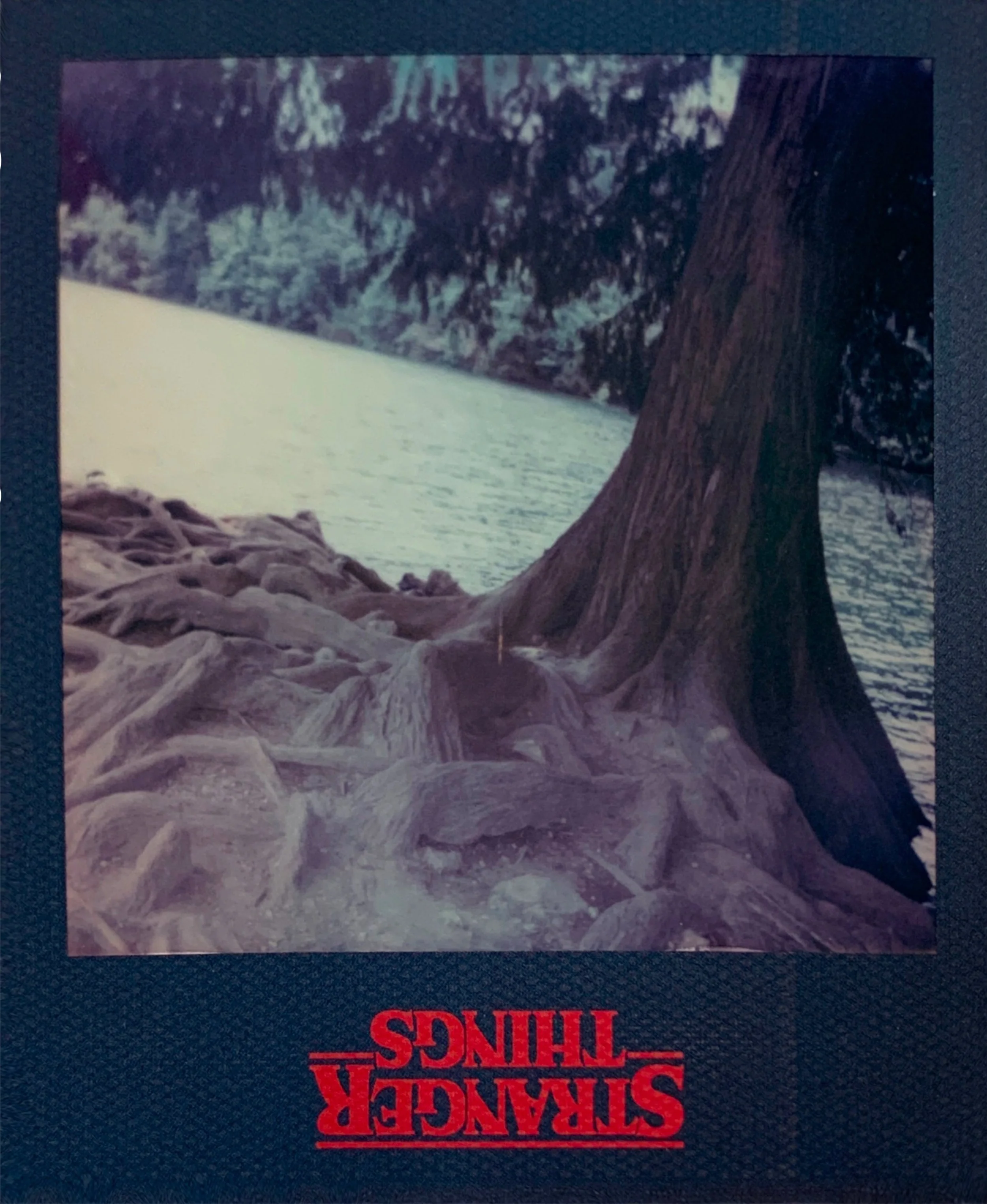 Upside Down Roots with the logo from Stranger Things pasted underneath the image