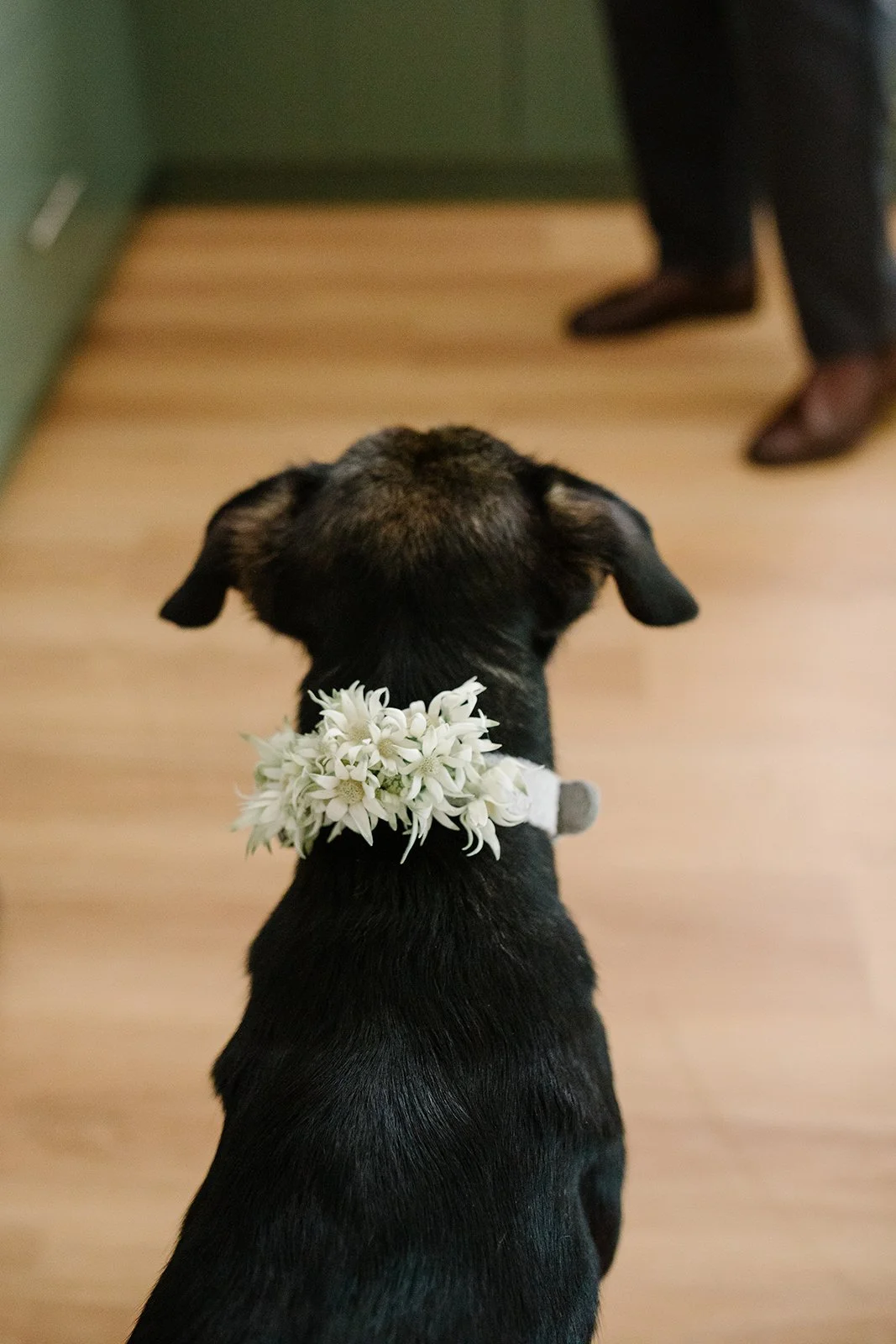 Wedding Preview! OG Edit-2.jpg