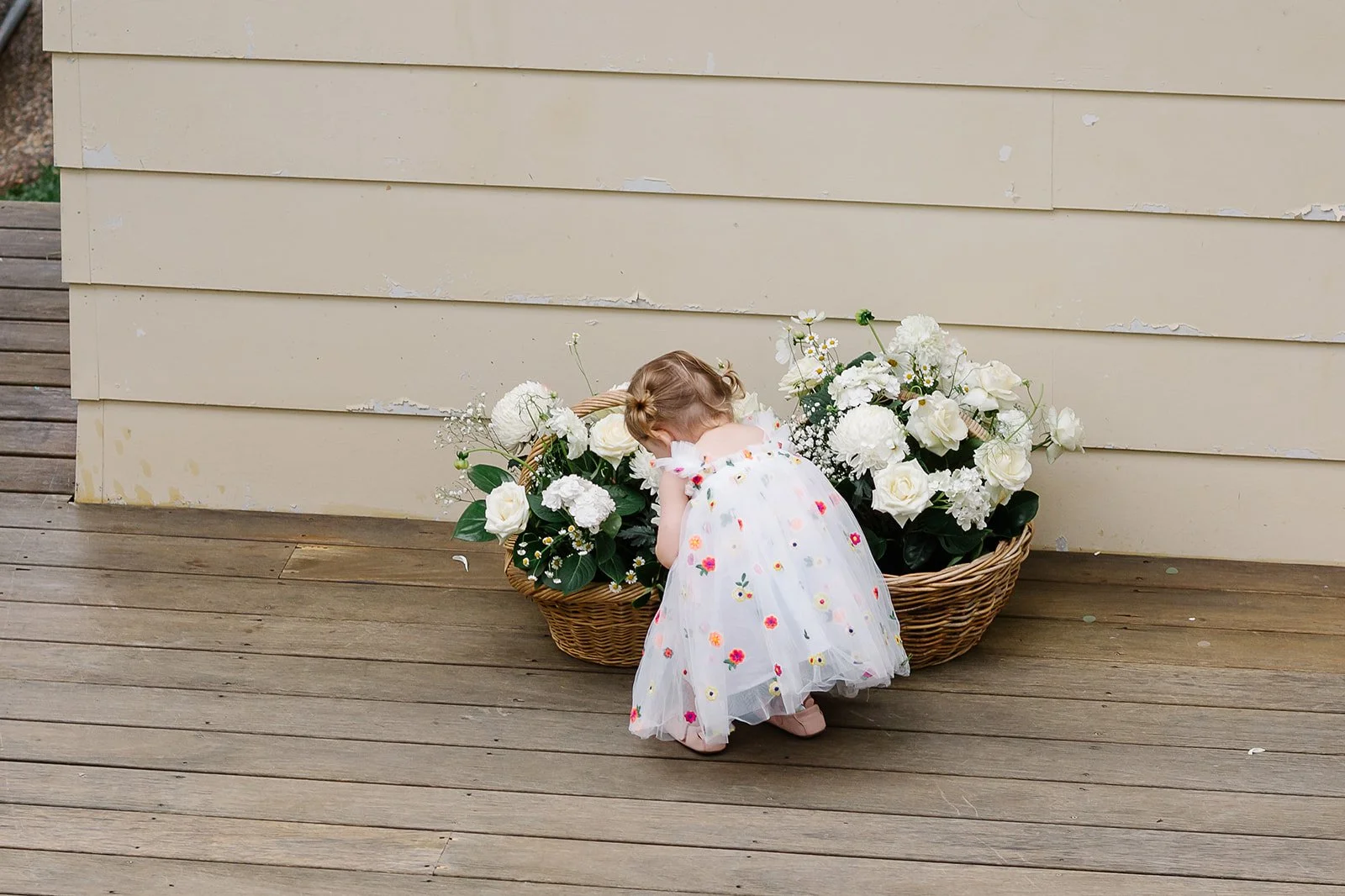 Wedding Lyss 2024- Colour-846.jpg
