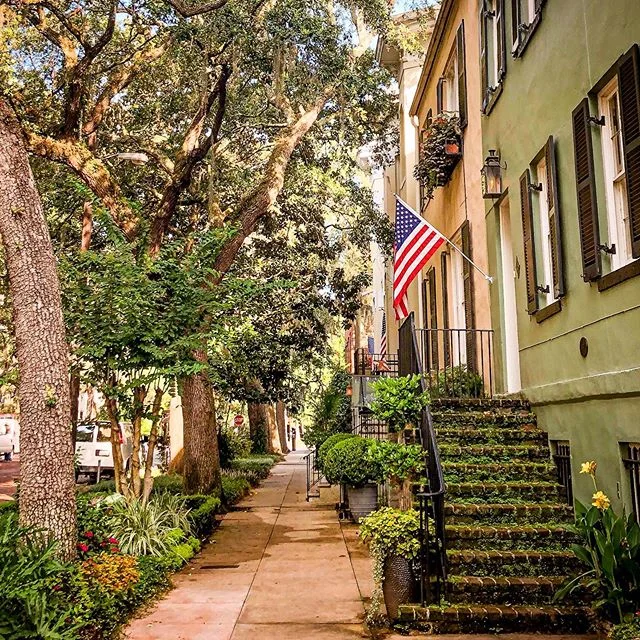 So many beautiful parts of this beautiful city ✨
.
.
.
.
.
.
.
.
.
.
#historicsavannah #savannahgeorgia #visitsavannah #jonesstreet #savannah #citystreets #moss #oaktrees #lovemycity #lovewhereyoulive #southernliving