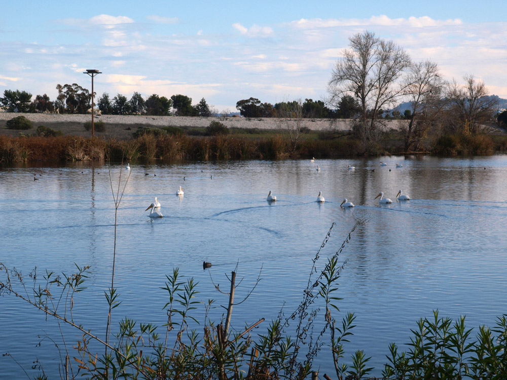 Sepulveda Basin and Wildlife Reserve