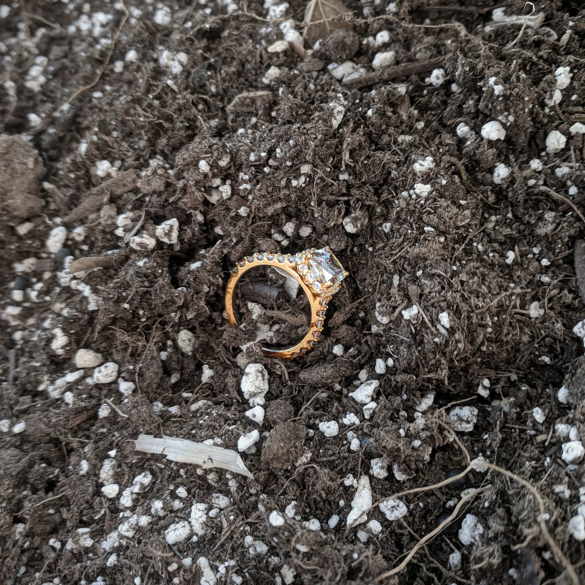 darvier-lost-ring.jpg