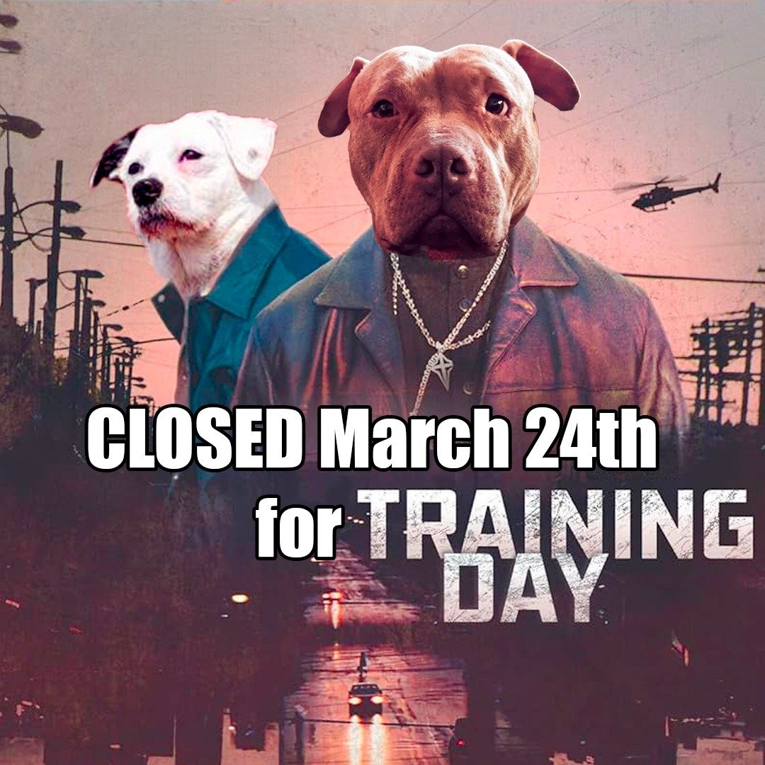 The original "Training Day" cast has nothing on our shop crew. 🐾✨
We&rsquo;re taking some time to learn and grow so we can keep giving you our best. Darvier will be closed on March 24th for a full staff training session.
Sorry for any inco