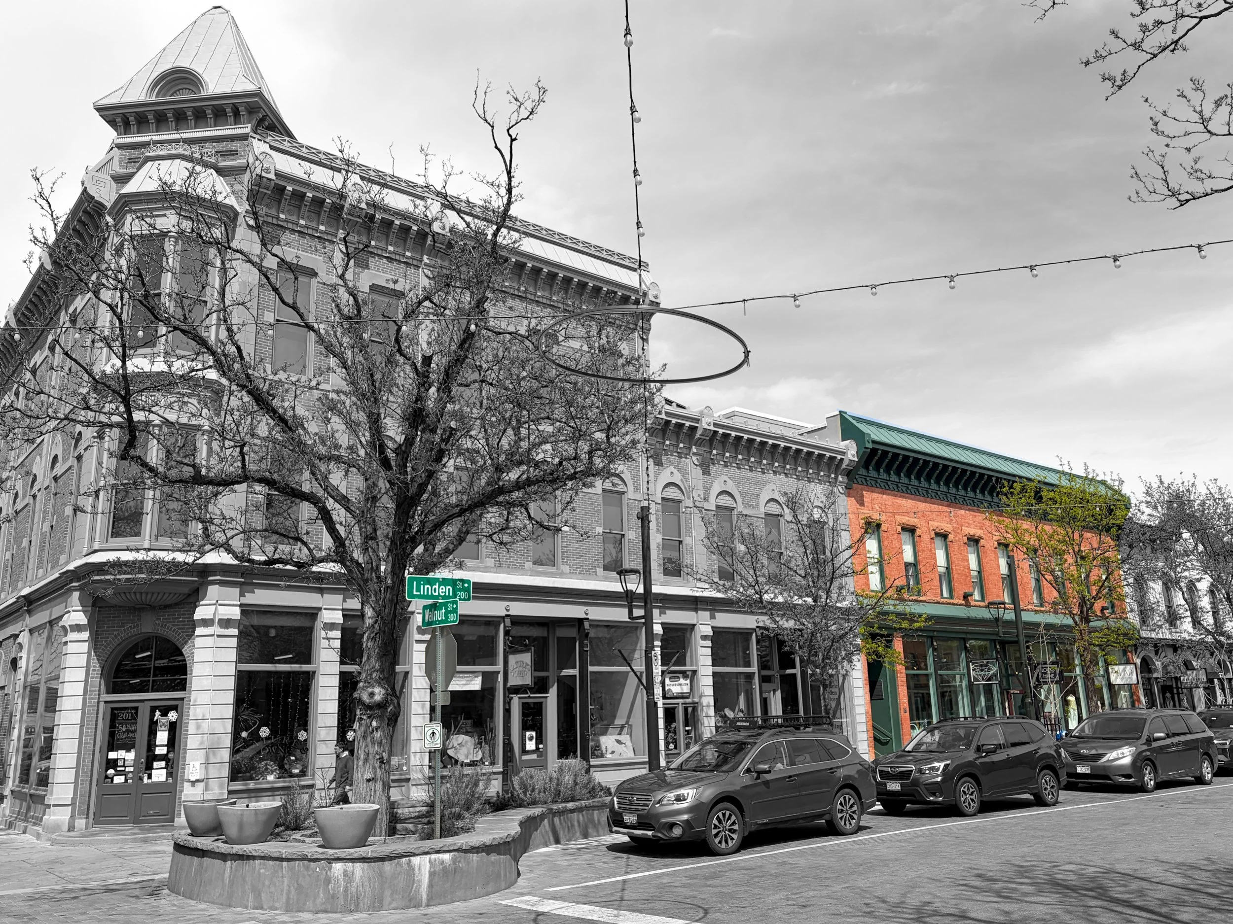 Black and white photo of a historic downtown street with old-style brick buildings, early growth on trees, and a partly cloudy sky. The Darvier building is in color. The street signs for Linden Street and Walnut Street are in color.