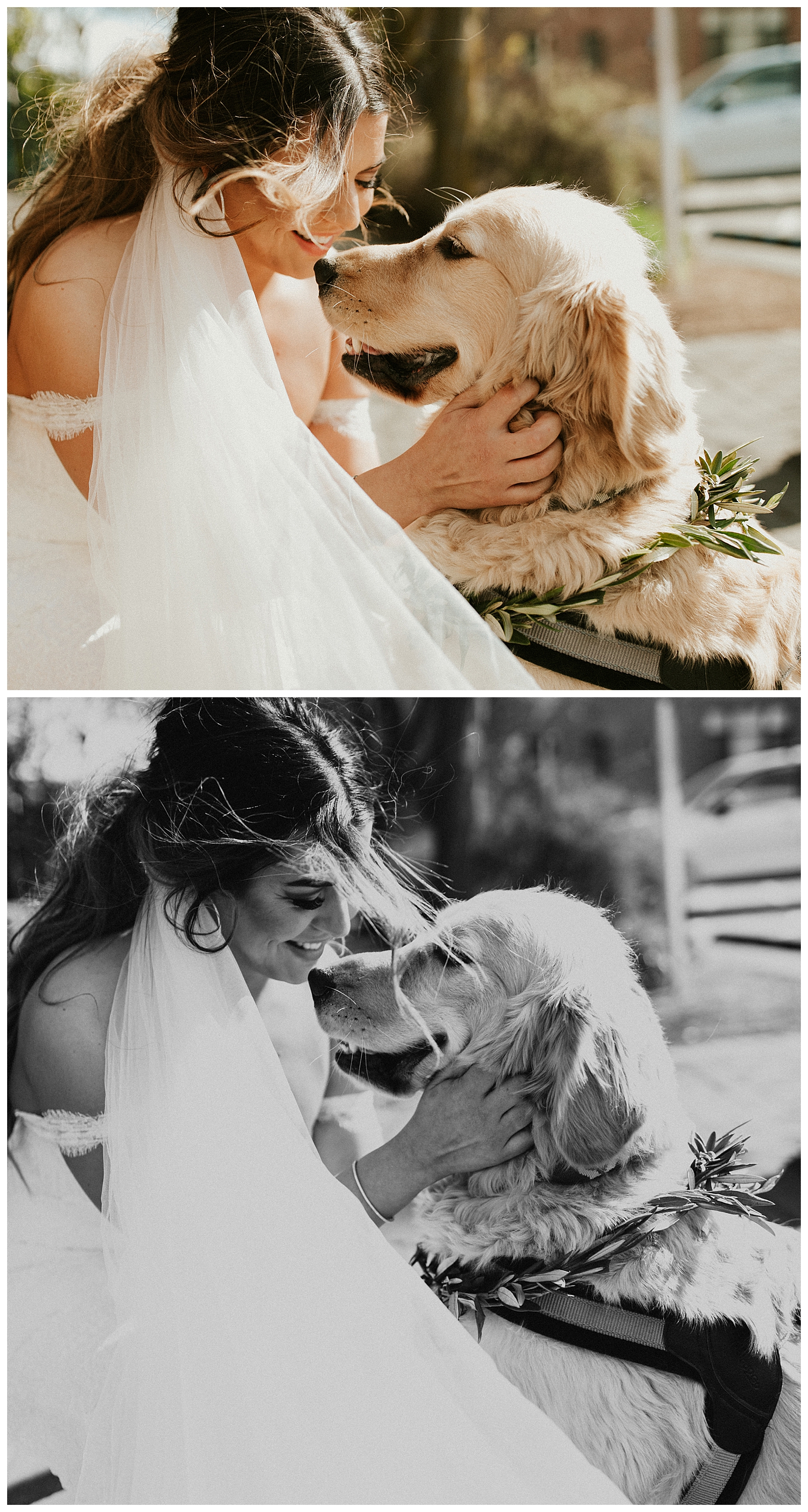 Chateau Rive Spokane Wedding Cassie Trottier Photography01040.jpg