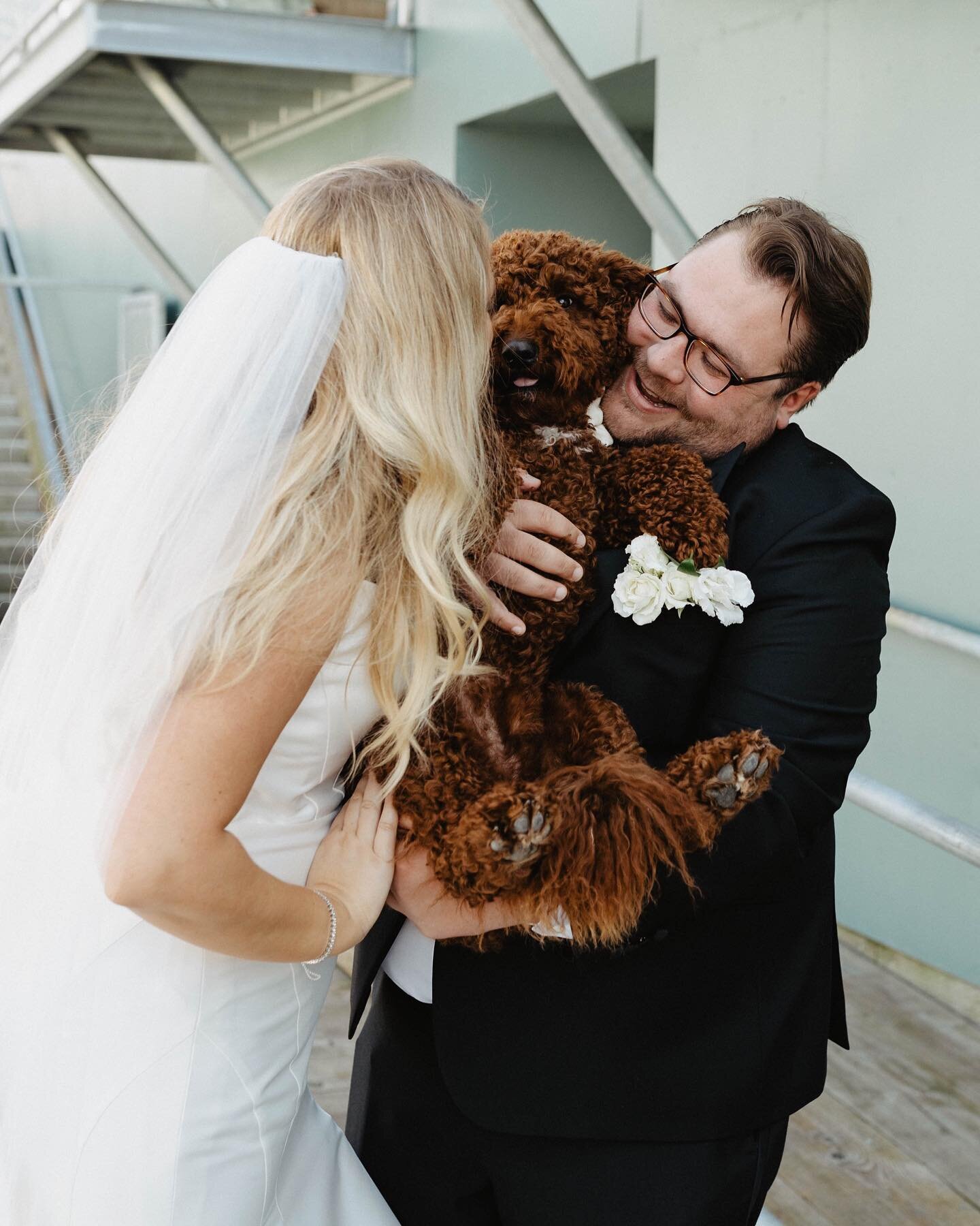 I gasped when I realized this dog (Kevin) didn&rsquo;t have a permanent spot on my feed. How has this been overlooked?! A dog with a human name in a bow tie at a wedding?! Couldn&rsquo;t be more perfect 😇