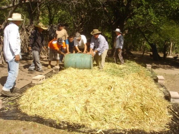 Technical-Assistance-Honduras-01.jpg