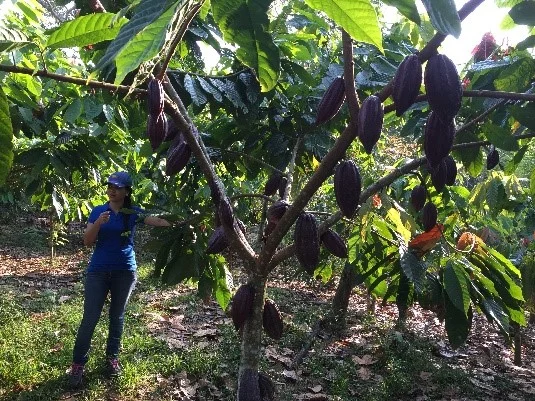 Business-Strenghtening-Honduras-01.jpg