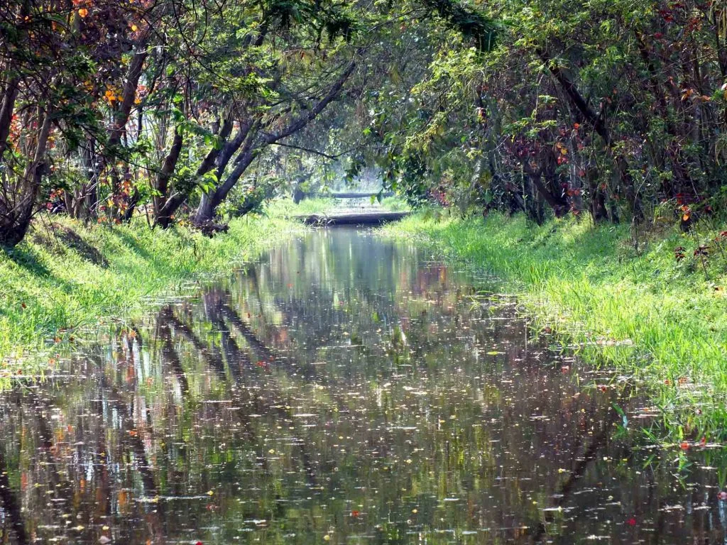 water-conservation-1024x768.jpg