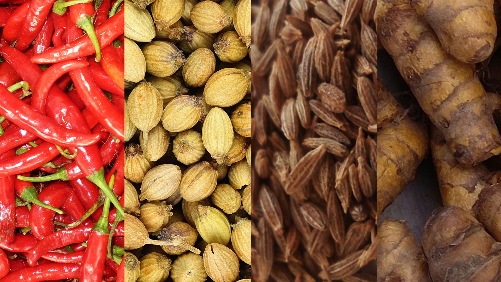 SAN_spices-1920x1080.png