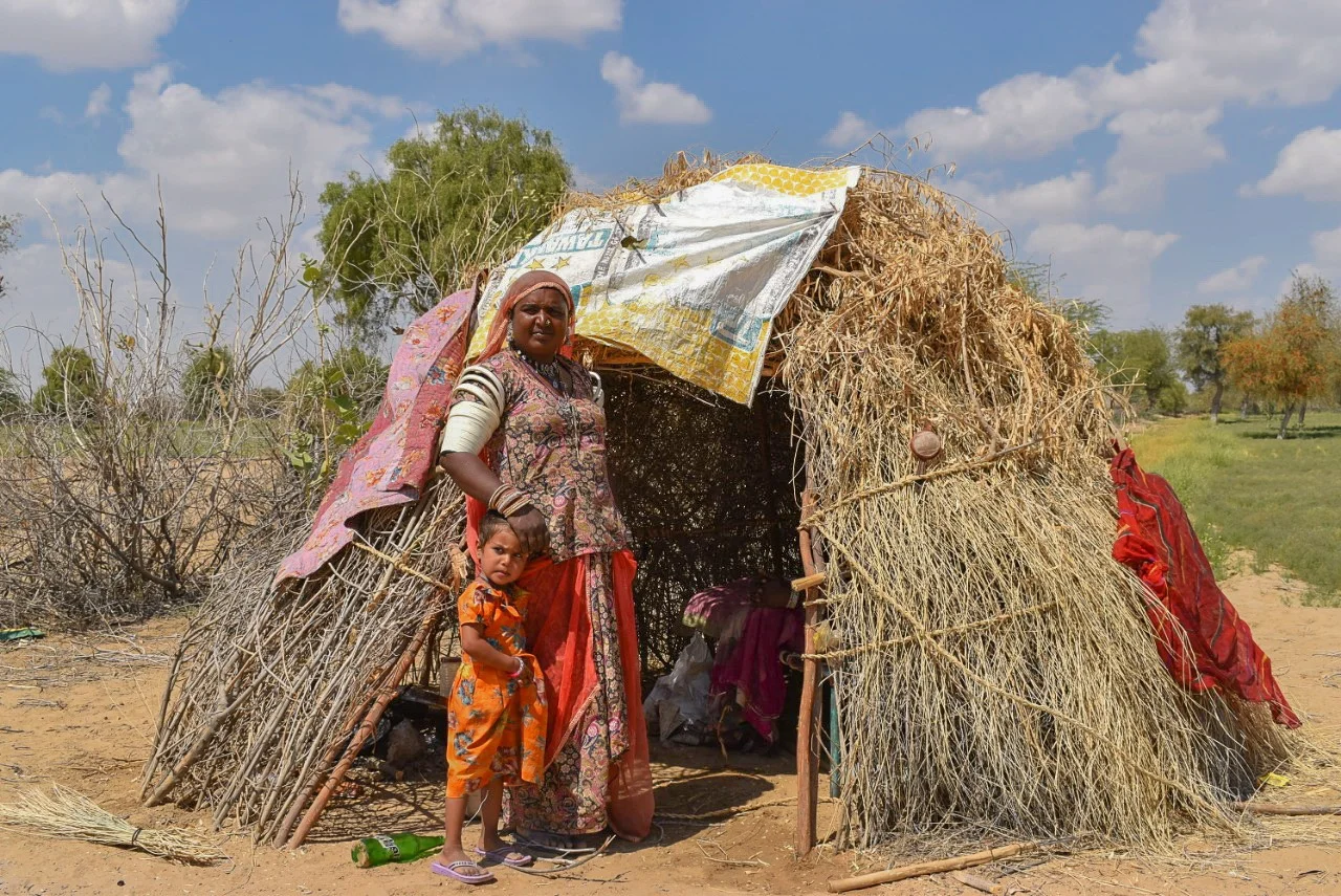 In Rajasthan, harvest season starts in February and runs through to April. Most of population of this region depends on agriculture to make a living.