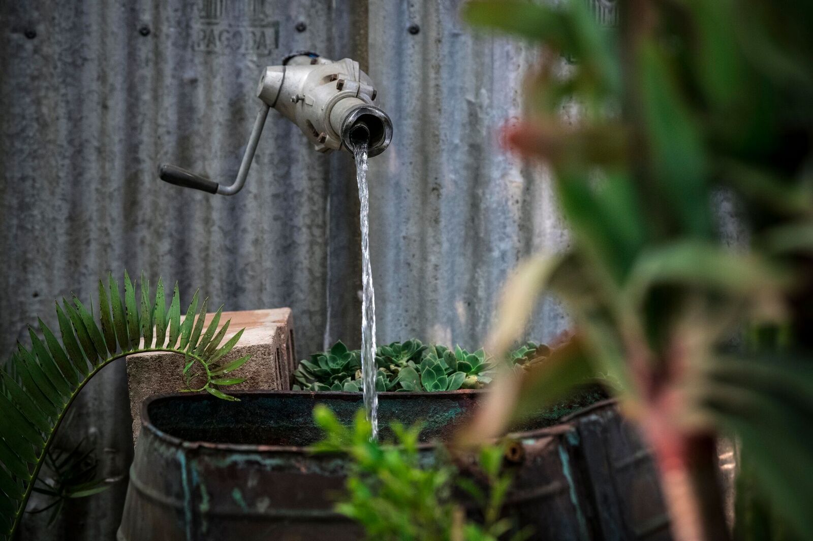 Feature Garden by Tim Harper . Photo by bianca de marchi photography .