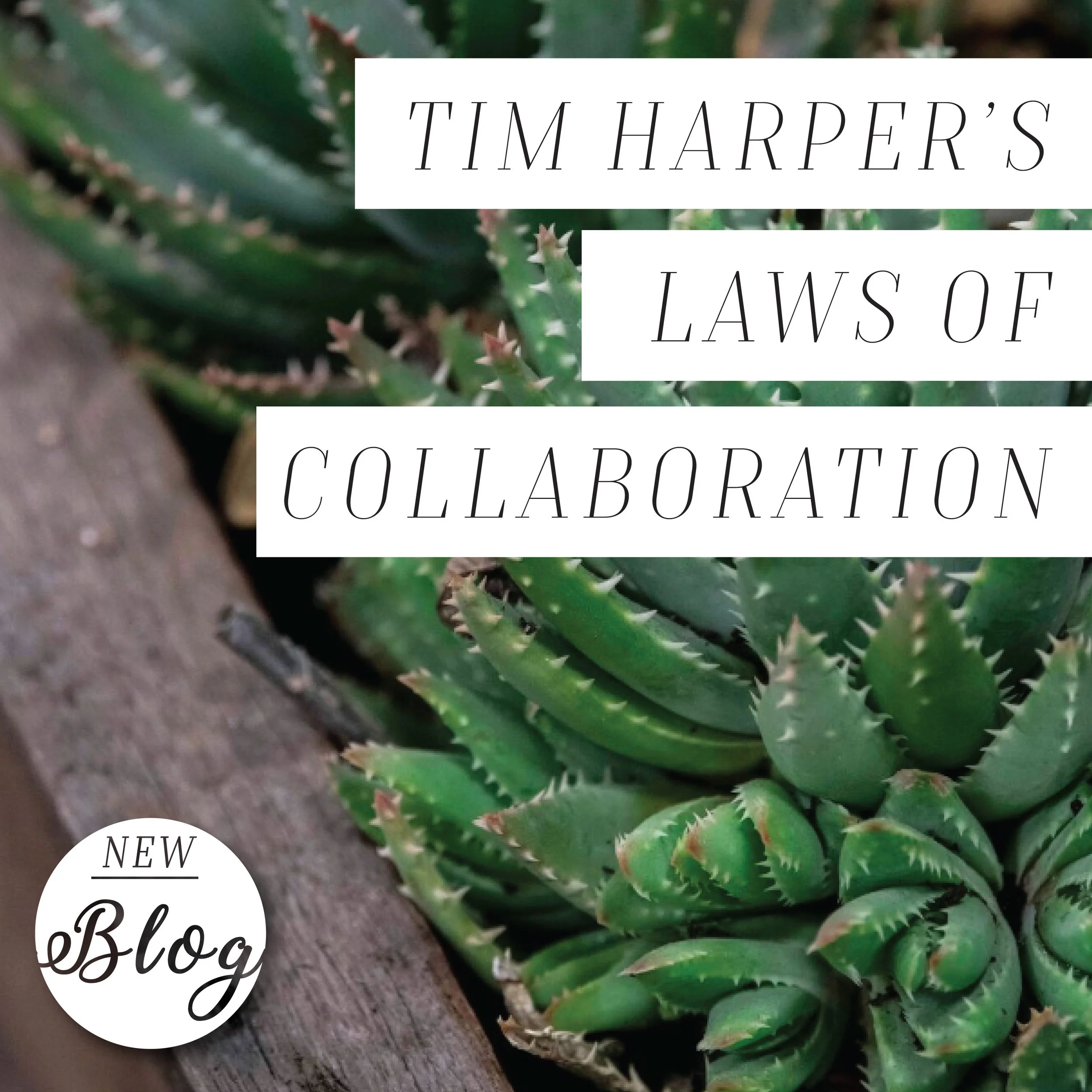 Tim Harper Laws 1.jpg