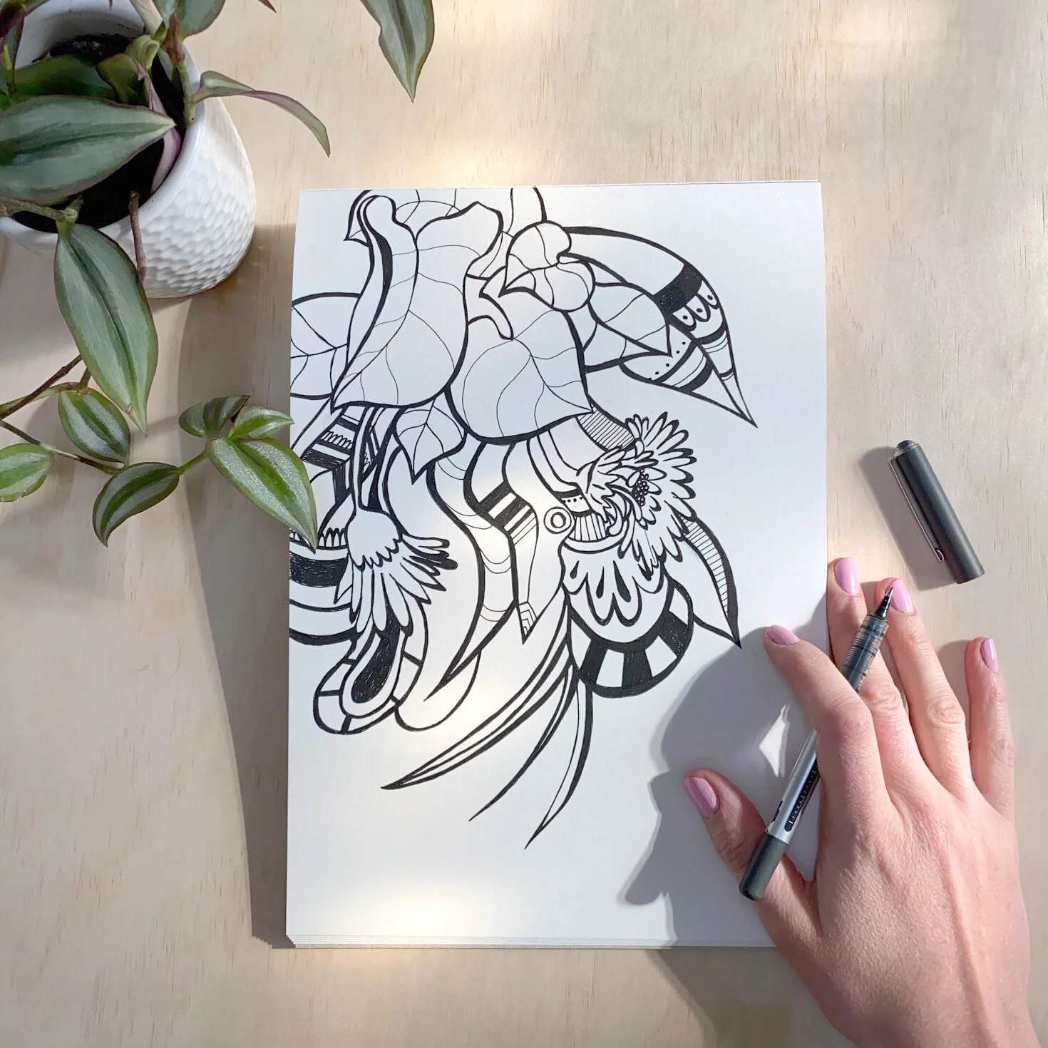 Botanical Drawing Workshop for Youth and Adults