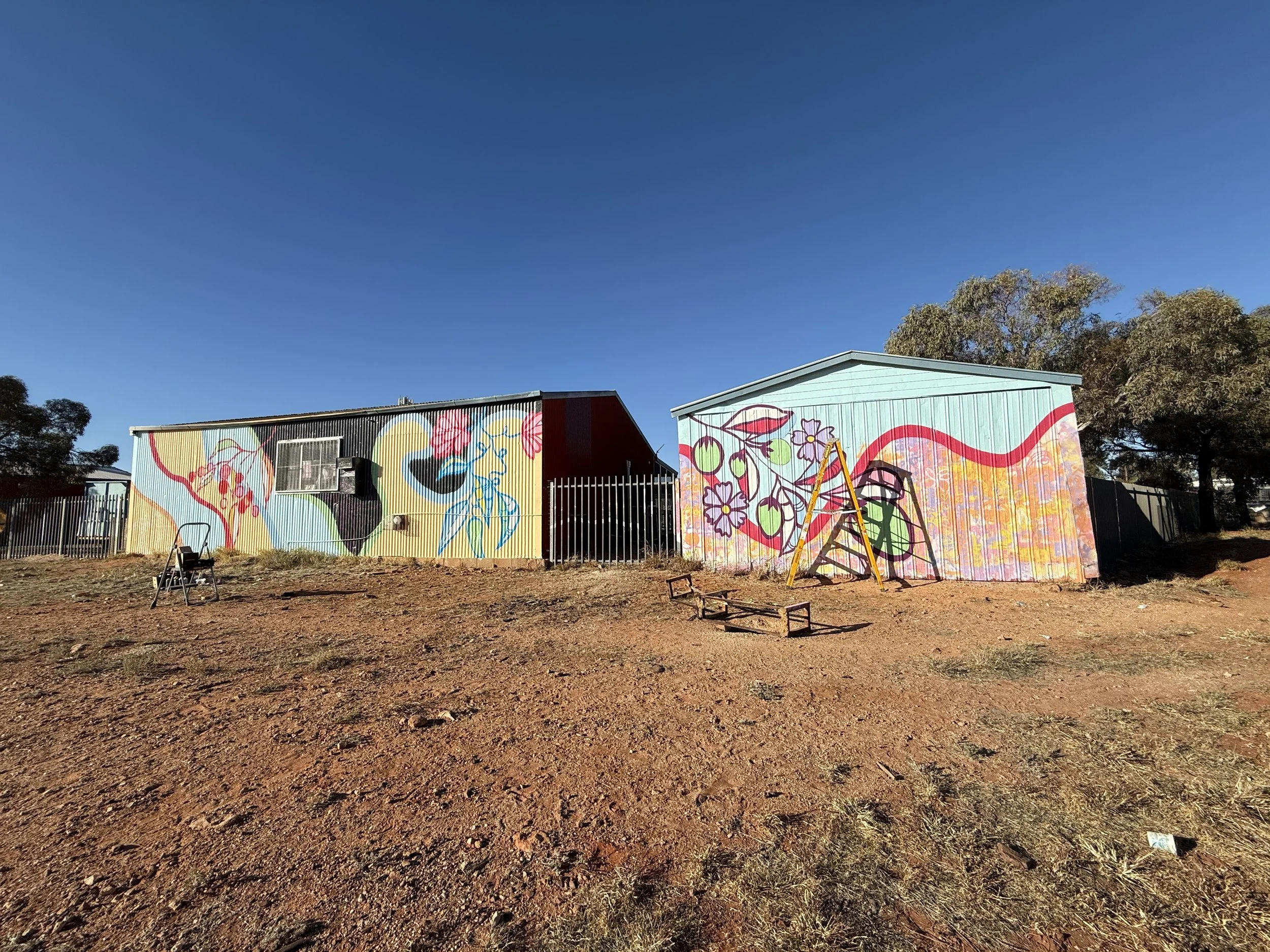 Visiting Indulkana Anangu School