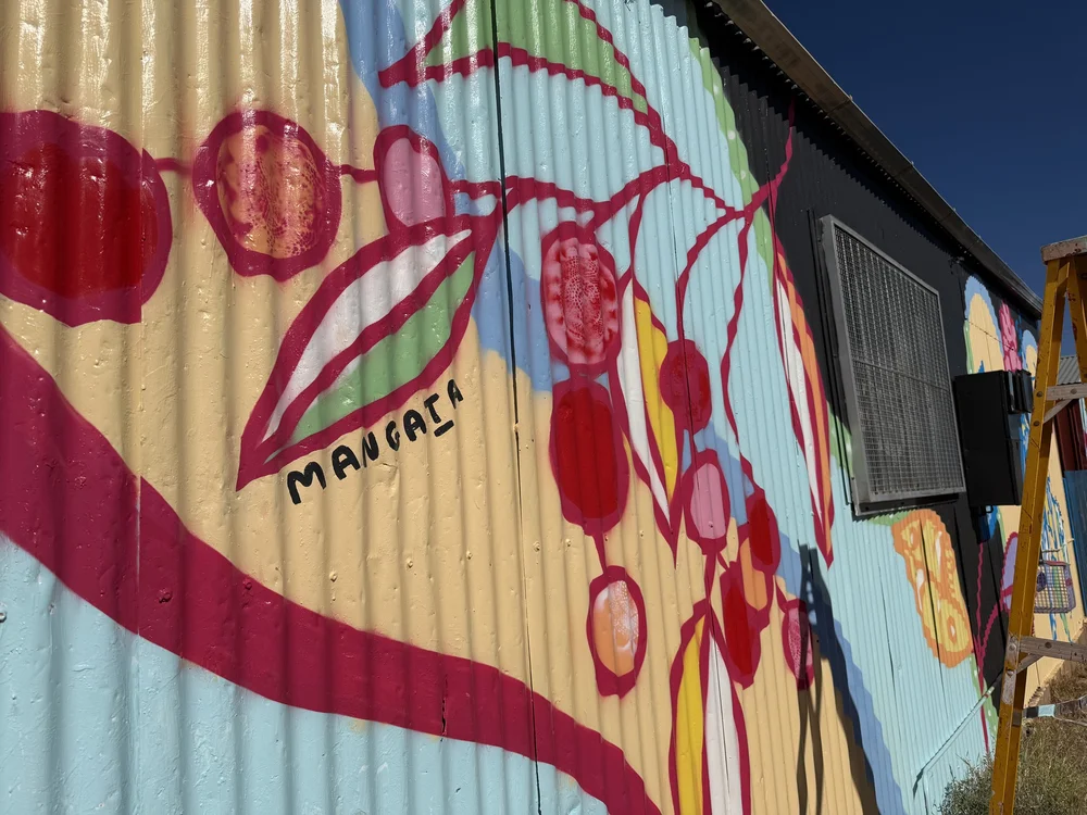 Leah Grant - Indulkana27.jpeg