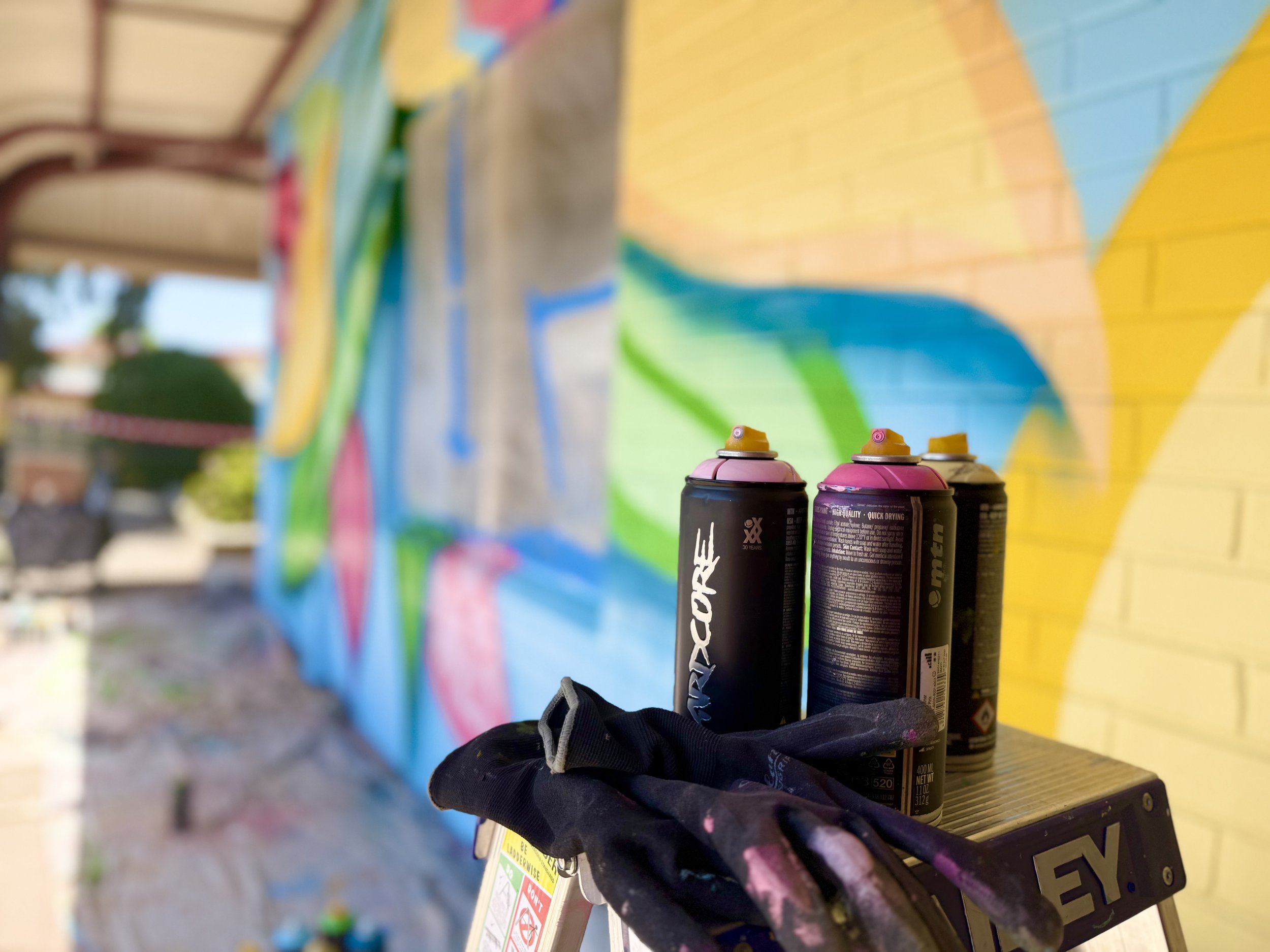 Mandama Primary School