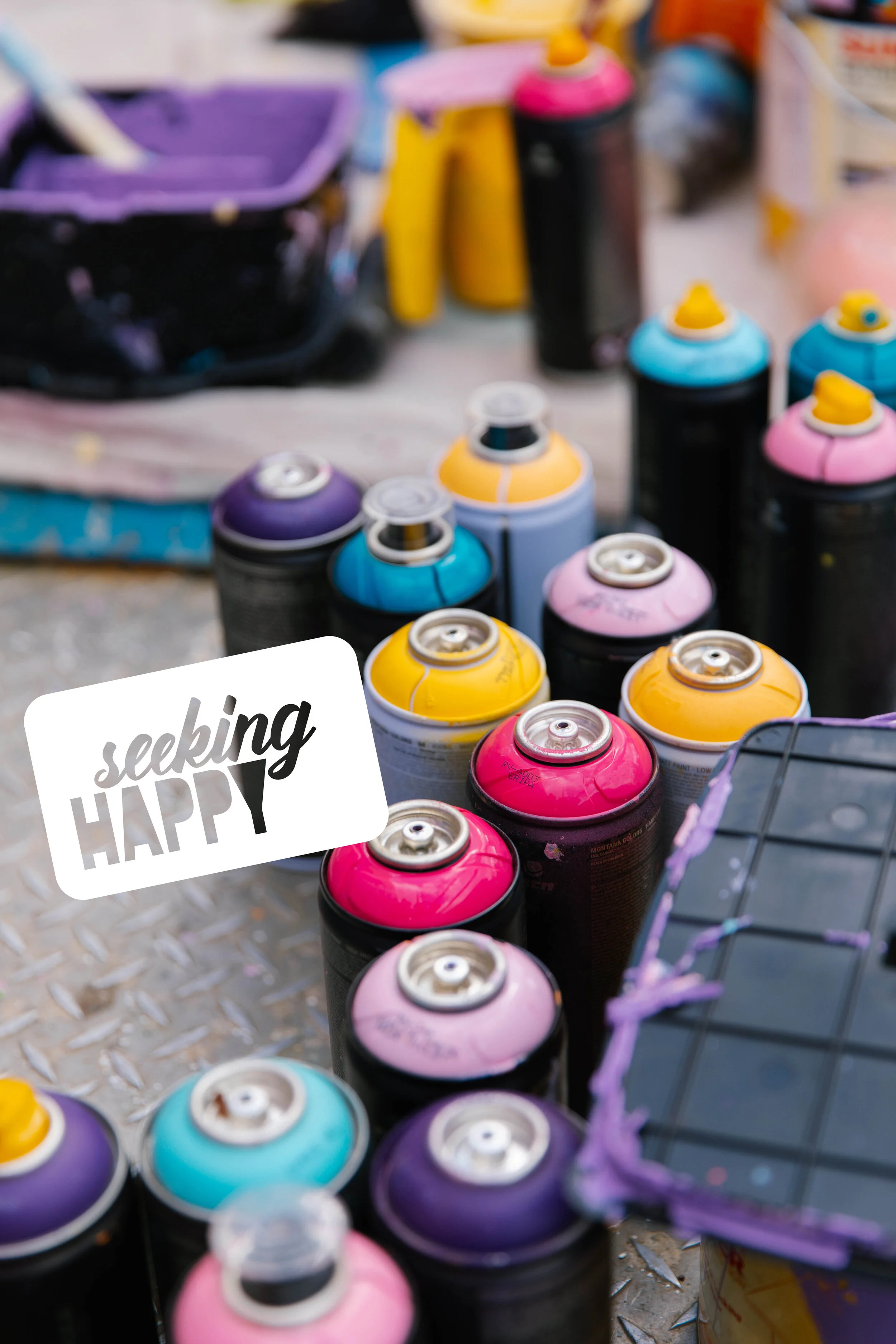 SEEKING HAPPY PROMO 2.jpg