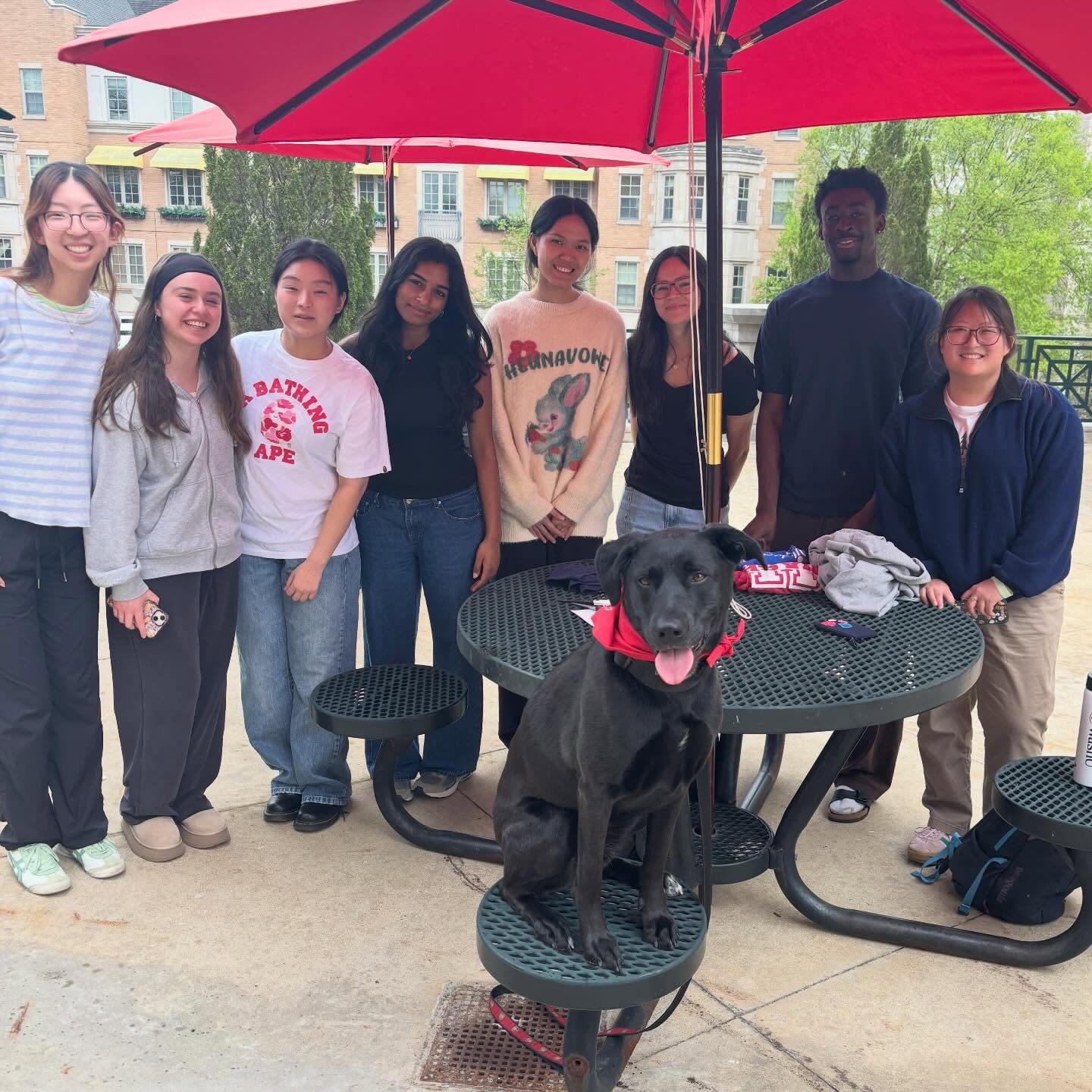 T-SHIRTS TO TOYS event 🪢🧸 Thank you to those who were able to help turn old t-shirts into toys for dogs. Stay tuned for more events!