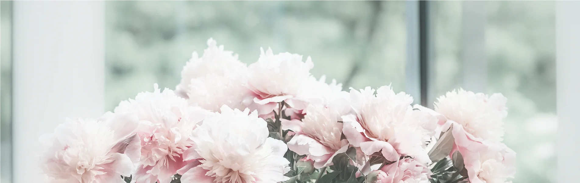 Website Template 1_IMAGE ONLY.jpg