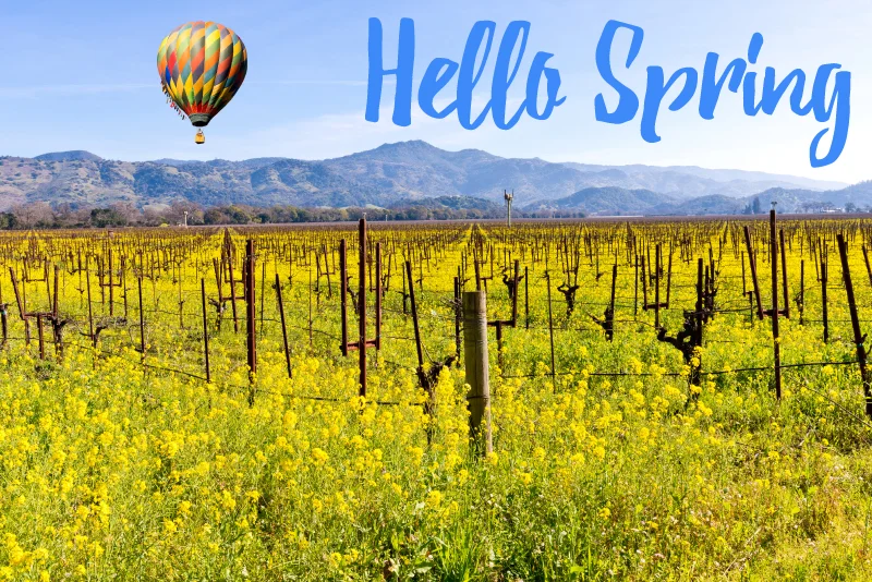 Spring Cleaning Your Data