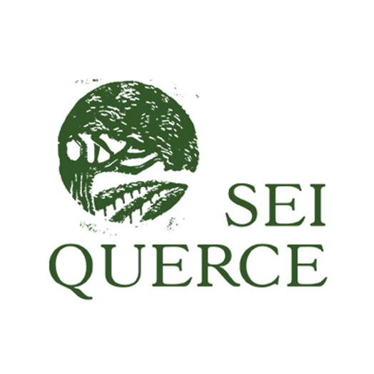 seiquerrce.png