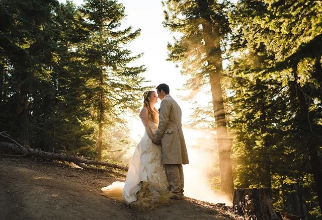 Let&rsquo;s take a walk through the forest and around a kids camp 2/2 Color edition #campwedding