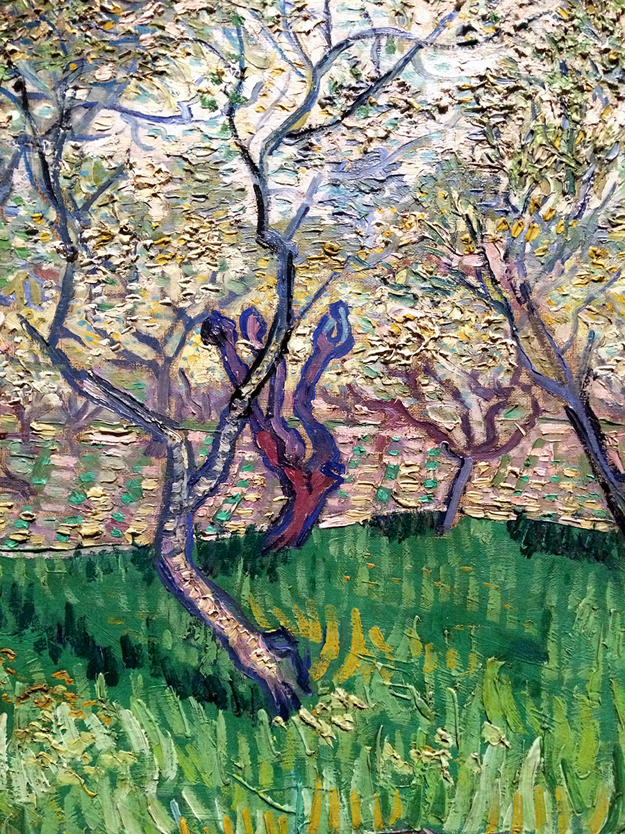 Van Gogh detail 1.JPG