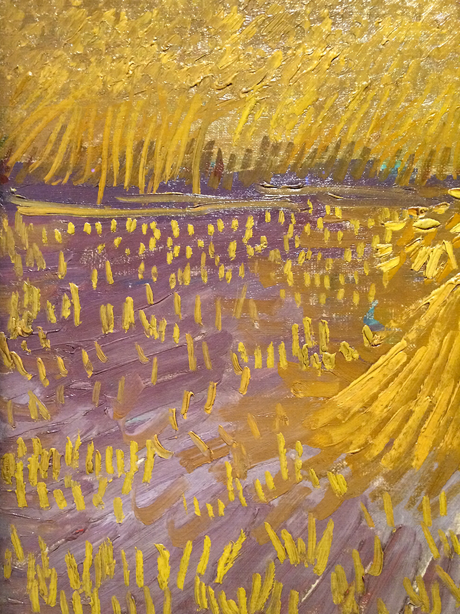 Van Gogh detail 4.JPG