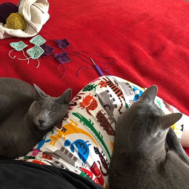 My feline supervisors have decided my photo edits can wait until tomorrow. 💕
.
#catsandyarn #katyathecat⚡️ #sashavelourthecat #felinecoworkers #russianbluesofinstagram #procraftination #procatination #knitdesign #slowmonday #catsandcrochet #lapfulof