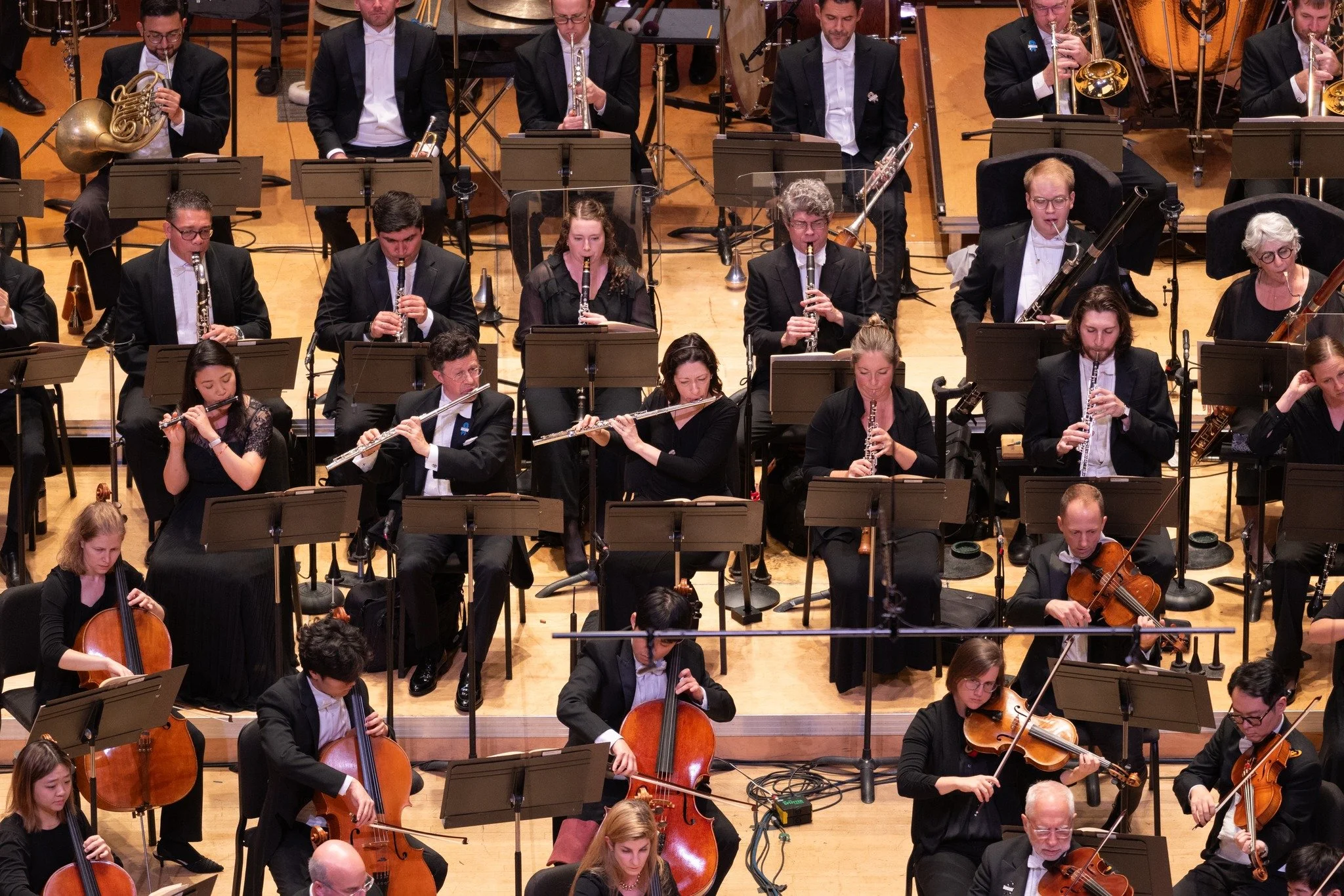 Just announced, I'm excited to be making my debut with the great Atlanta Symphony Orchestra @atlantasymphony in February, conducting a program you definitely won't hear every week! 

Puerto Rican composer Ang&eacute;lica Negr&oacute;n's work &quot;En