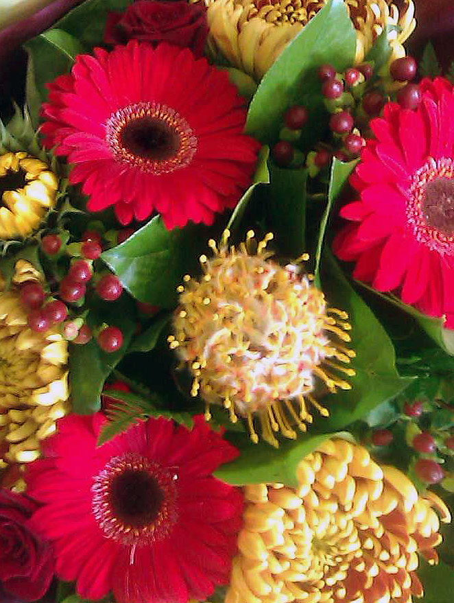 Aegeus---Red-gerbera,-Yellow-leucospernum,-yellow-sunflower,-bronze-blooms,-red-hypericum,-red-roses-accompanied-by-salal-and-fern.-£25-£35-£45..2.jpg