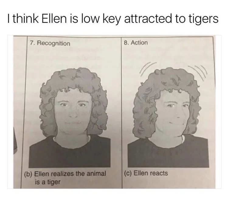 FullSizeRender.jpg