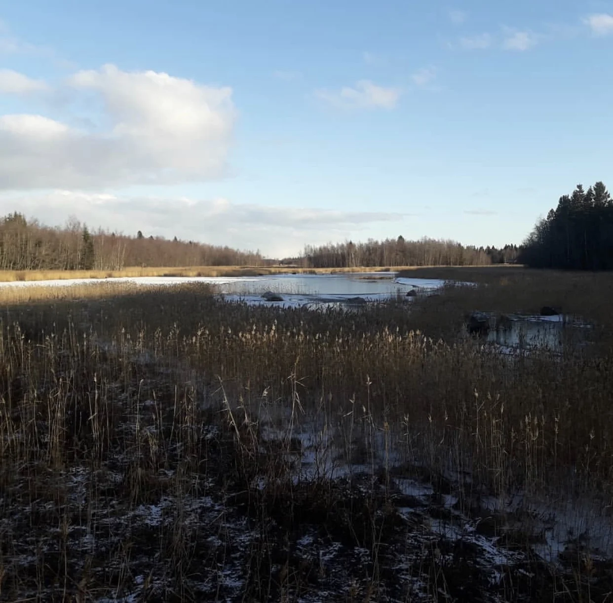 De senaste åren har papp ibland när andan fallit på postat ett foto från en av sina jaktturer på instagram, som det här. Jag tog det med minst döda djur på.