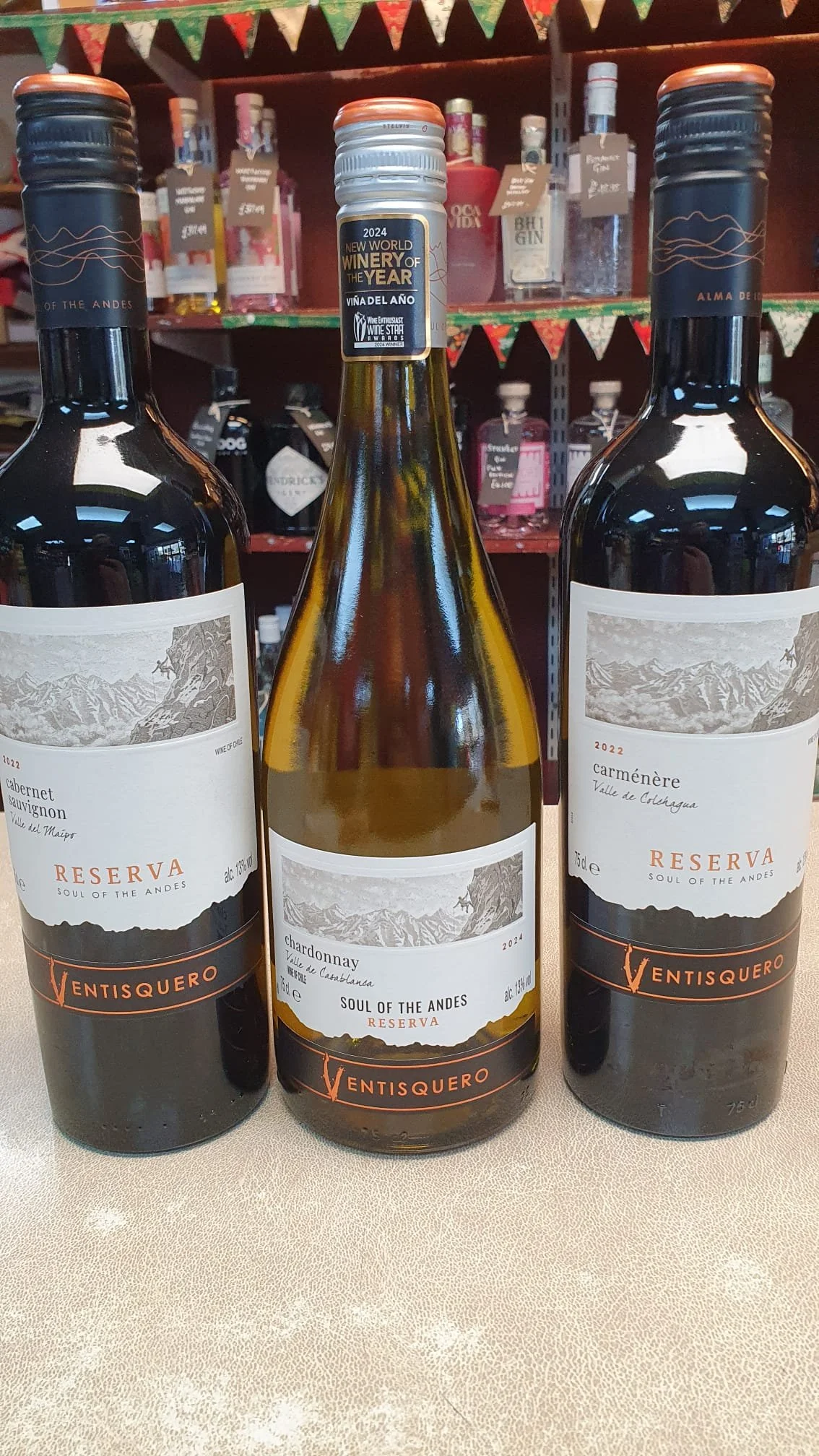 NEW INSTORE

Why not try something news this weekend

New Chilean wines have just landed from Ventisquero