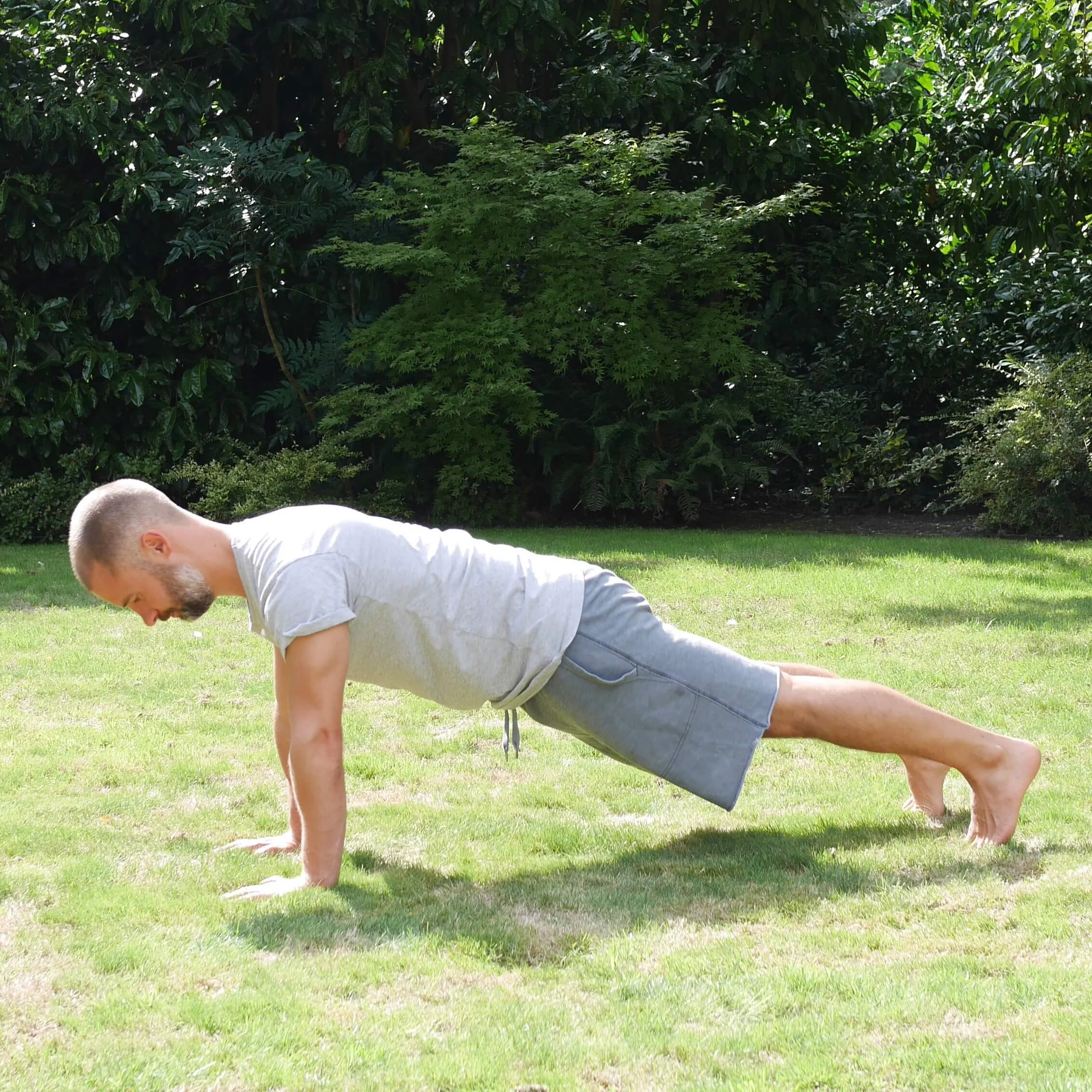 Push Up Position Plank.jpg