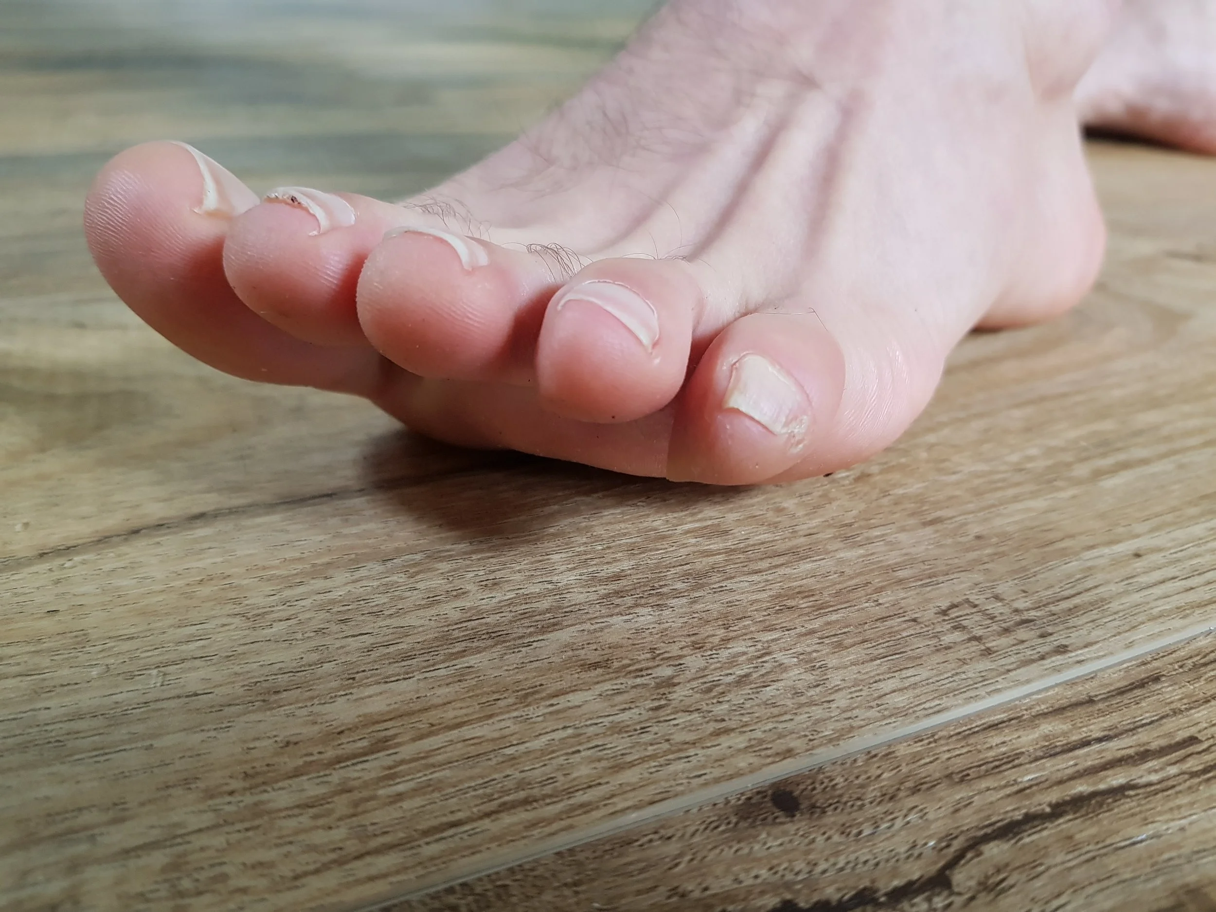 bear foot.jpg