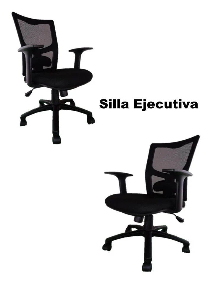 10 Silla E.JPG