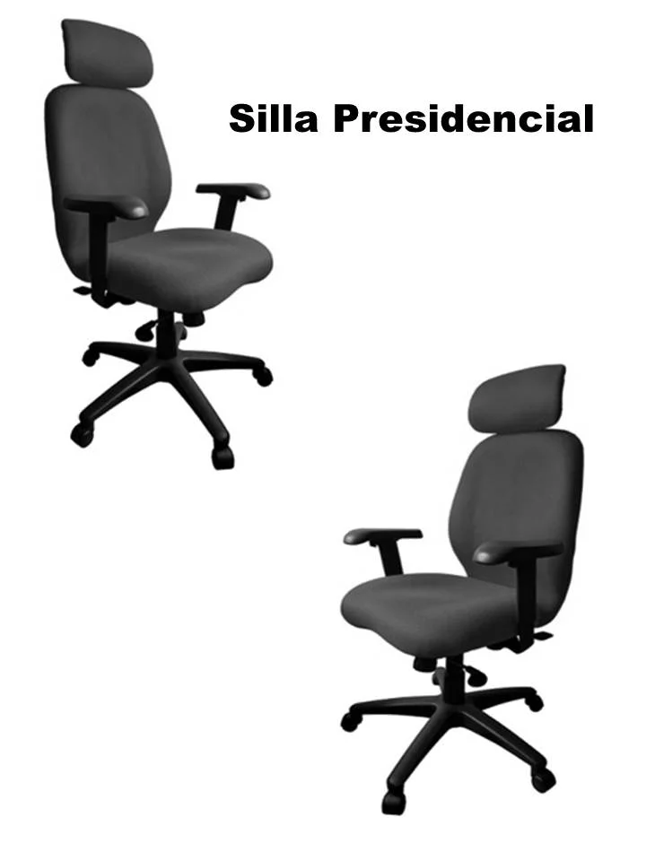 15 Silla P.JPG
