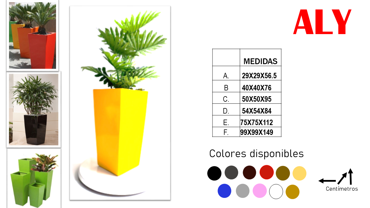 Diapositiva2.PNG