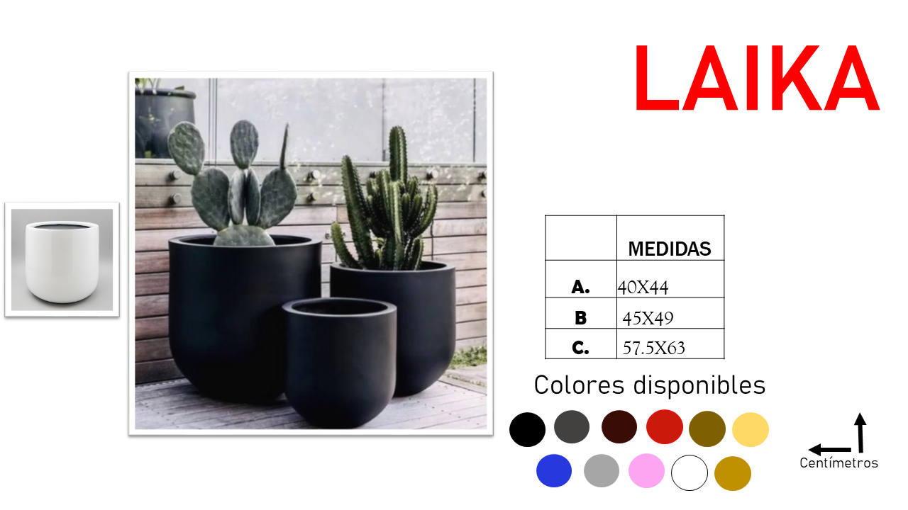 Diapositiva5.PNG