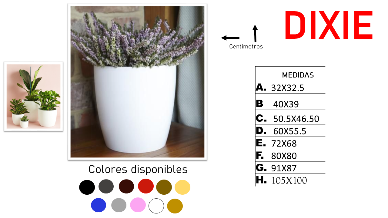Diapositiva6.PNG