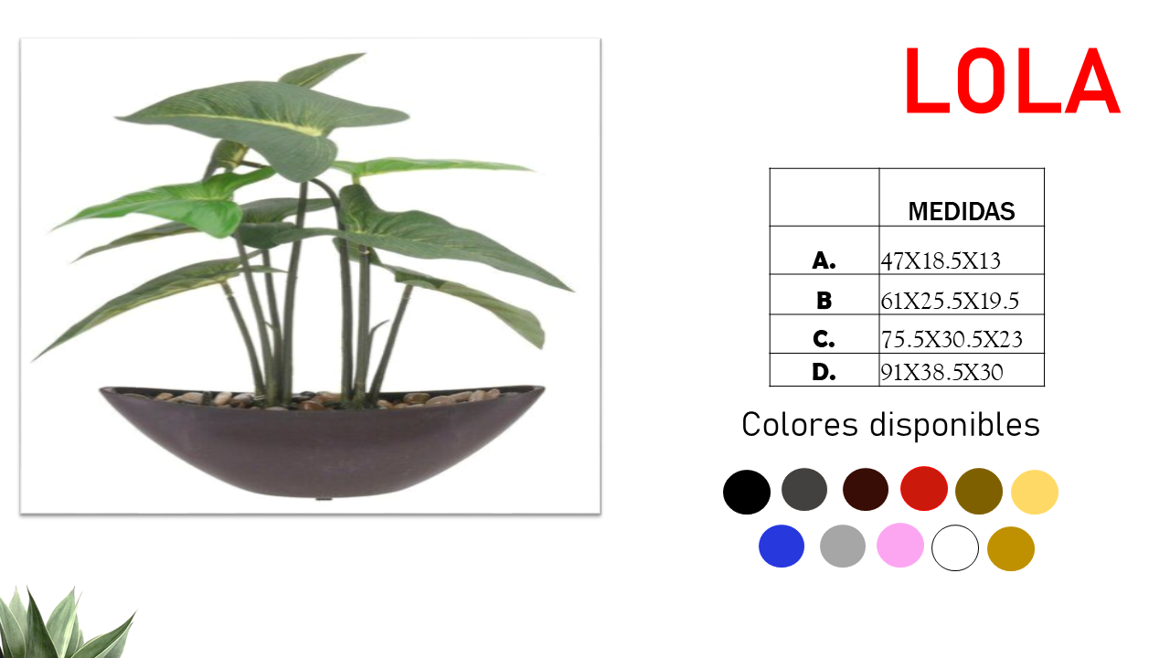Diapositiva24.PNG